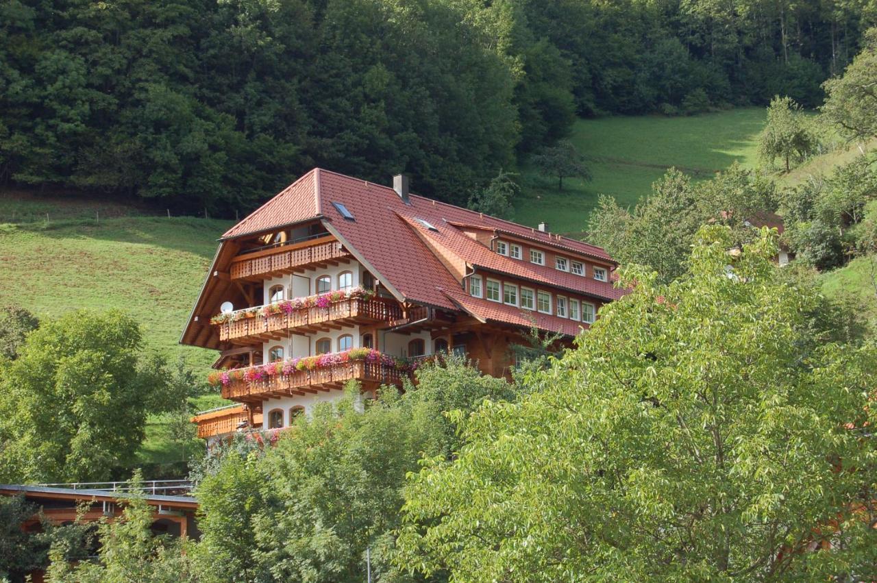 Ehrenmaettlehof Faisst Aparthotel Bad Peterstal-Griesbach Exterior photo