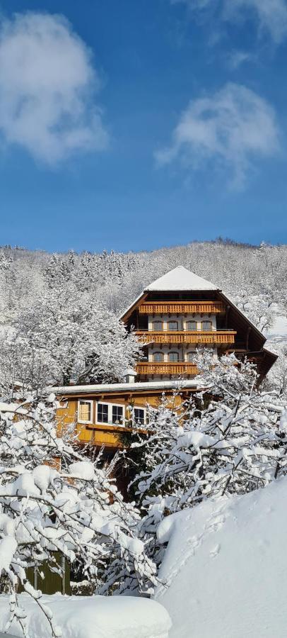 Ehrenmaettlehof Faisst Aparthotel Bad Peterstal-Griesbach Exterior photo