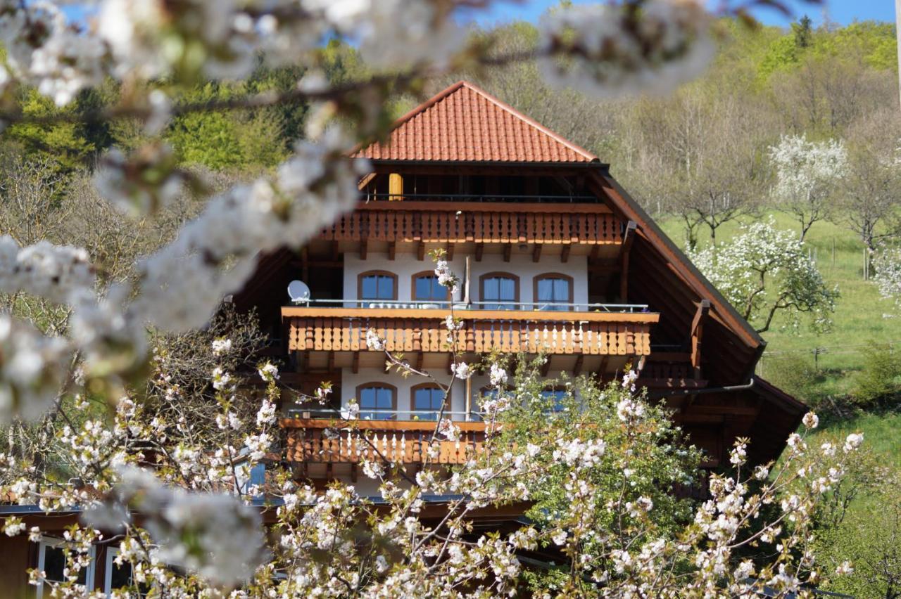 Ehrenmaettlehof Faisst Aparthotel Bad Peterstal-Griesbach Exterior photo