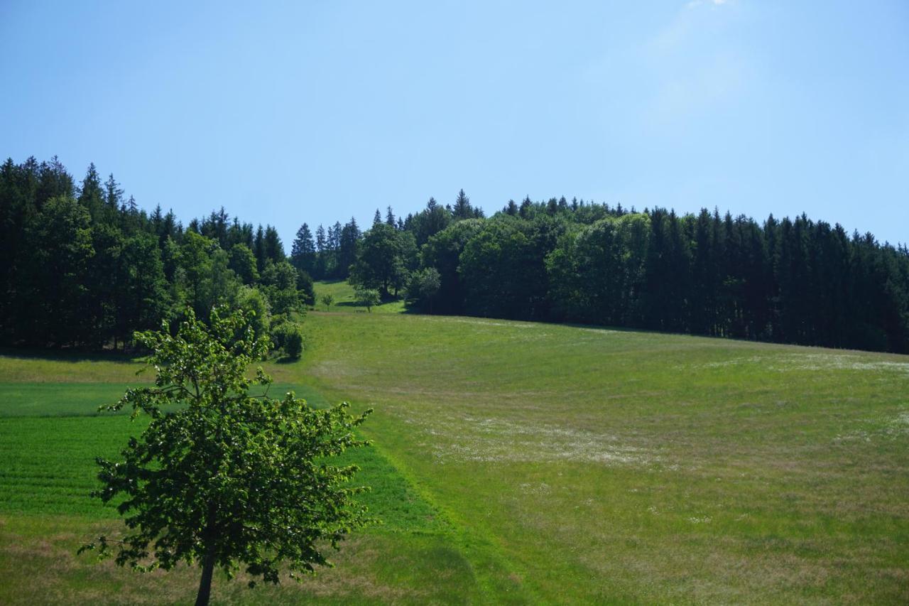 Ehrenmaettlehof Faisst Aparthotel Bad Peterstal-Griesbach Exterior photo